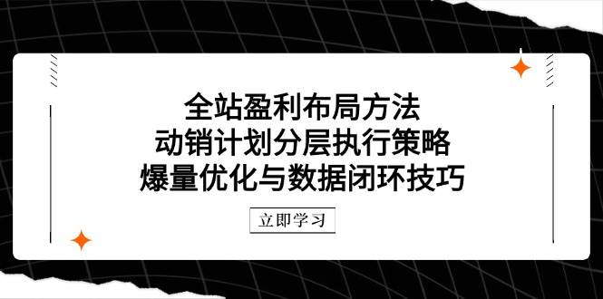 全站盈利布局方法:动销计划分层执行策略,爆量优化与数据闭环技巧-亮剑学堂