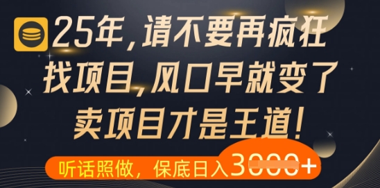什么?25年你还在疯狂找项目做,醒醒吧,看完这些你全都懂了-亮剑学堂