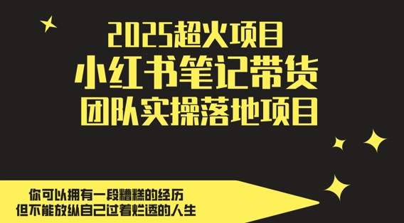 2025超火项目,副业最佳选择,小红书笔记带货团队实操落地项目,,轻松日入5张-亮剑学堂