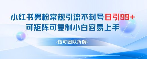 小红书男粉常规引流不封号日引99+变现简单 可矩阵可复制小白容易上手-亮剑学堂