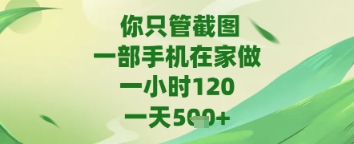 你只管截图,一部手机在家做,苹果安卓都可以,一天5张+-极光库