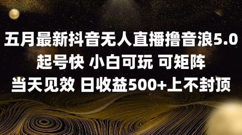 2025五月最新无人直播撸音浪单日产出5张+实操教程-亮剑学堂