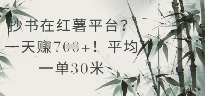 抄书在小红薯平台?平均一单30米,一天收益几张!-亮剑学堂
