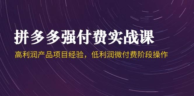 拼多多强付费实战课-44期,高利润产品项目经验,低利润微付费阶段操作-亮剑学堂