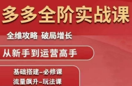 拼多多全阶实战课程,全维攻略,破局增长,从新手到运营高手-亮剑学堂
