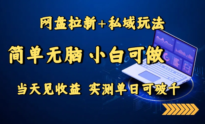 网盘拉新+私域玩法,简单无脑,小白可做,当天见收益,实测单日可破千-亮剑学堂