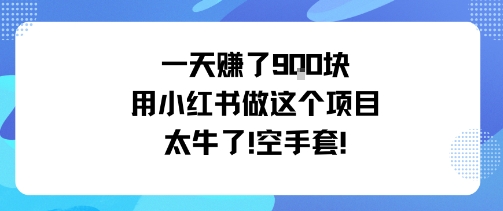 一天挣了9张用小红书做这个项目太牛了,空手套-亮剑学堂