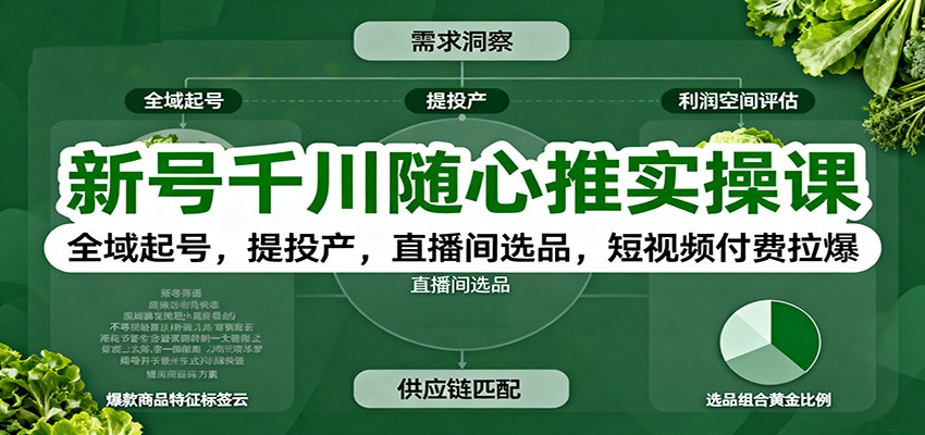 新号千川随心推实操课:全域起号,提投产,直播间选品,短视频付费拉爆-爱尚学堂