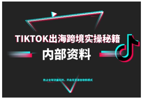 TikTok跨境电商0-1搭建运营,TK出海跨境实操秘籍(10月更新)-亮剑学堂