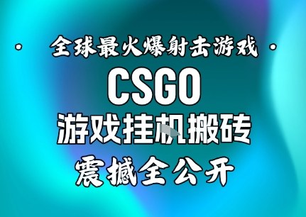 【年底大揭秘】基于全球最火爆的射击CSGO游戏挂G搬砖,日入5张+,震撼公开-亮剑学堂