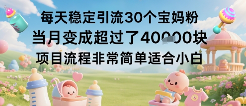 每天稳定引流30个宝妈粉当月变成超过了1W+项目流程非常简单适合小白-极光库