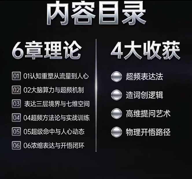 马大个高维表达全套实战课,跳出普通口才教学,大脑超频训练打造原创思想IP体系-极光库