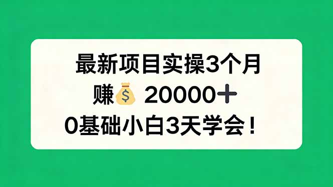 最新项目实操3个月，赚钱20000+，0基础小白3天学会！-极光库