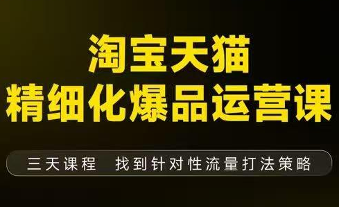猫课子幽·淘宝天猫精细化爆品运营【音频+字幕+文档】(9月12-14杭州线下课)-极光库