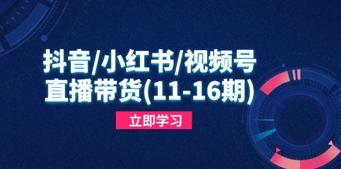 抖音/小红书/视频号/直播带货(11-16期-AIPOD