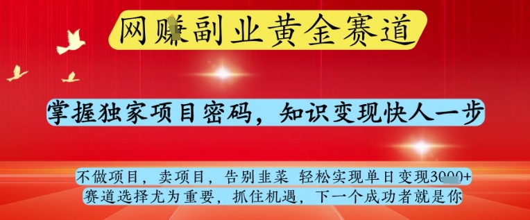 网创副业黄全赛道，掌握独家项目密码，知识变现快人一步，告别韭菜轻松实现单日变现1k+【揭秘】-AIPOD