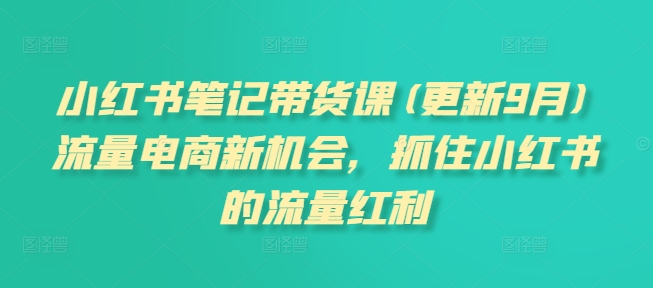 小红书笔记带货课(更新25年4月)流量电商新机会，抓住小红书的流量红利-AIPOD