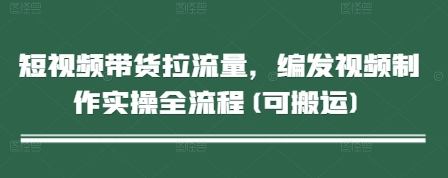 短视频带货拉流量，编发视频制作实操全流程(可搬运)-AIPOD