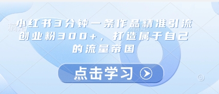 小红书3分钟一条作品精准引流创业粉300+，打造属于自己的流量帝国-AIPOD