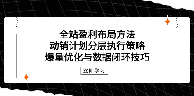 全站盈利布局方法：动销计划分层执行策略，爆量优化与数据闭环技巧-AIPOD