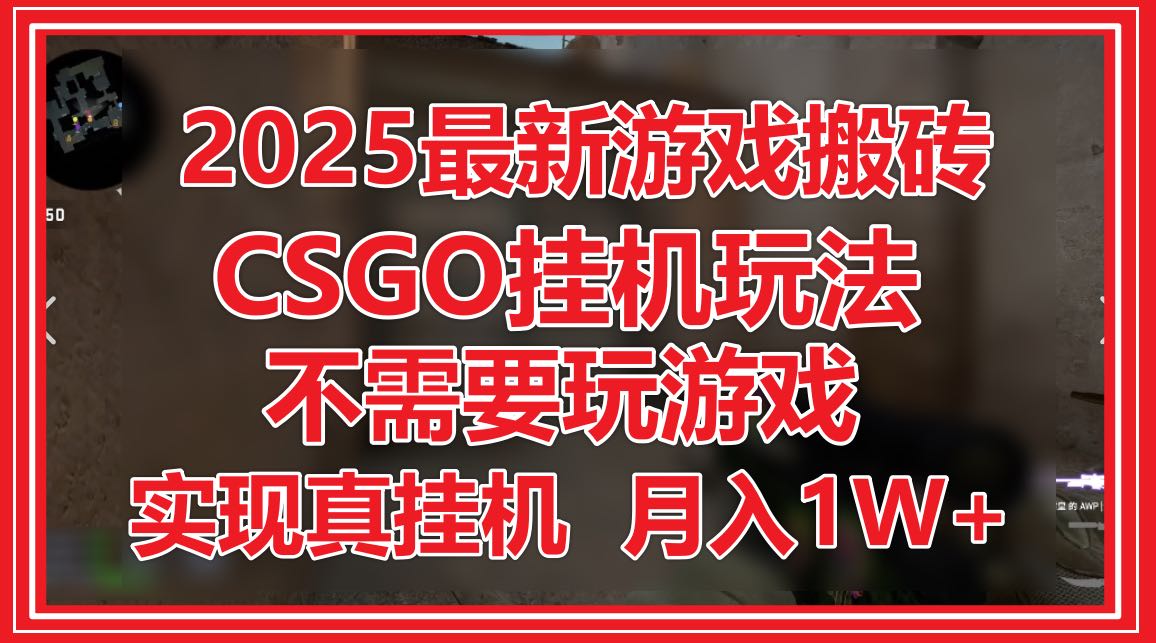 2025最新游戏搬砖，CSGO挂机，不需要玩游戏，实现真挂机，月入1W+-AIPOD