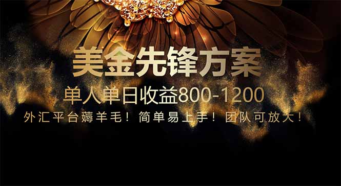免费技术！小众赛道！一年布局抵三年努力，每日800+-AIPOD