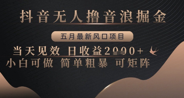 抖音无人撸音浪掘金，五月最新风口项目，当天见效，日收益多张，小白可做简单粗暴可矩阵-AIPOD