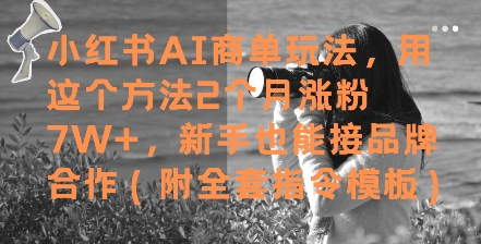 小红书AI商单玩法，用这个方法2个月涨粉7W+，新手也能接品牌合作(附全套指令模板)-亮剑学堂