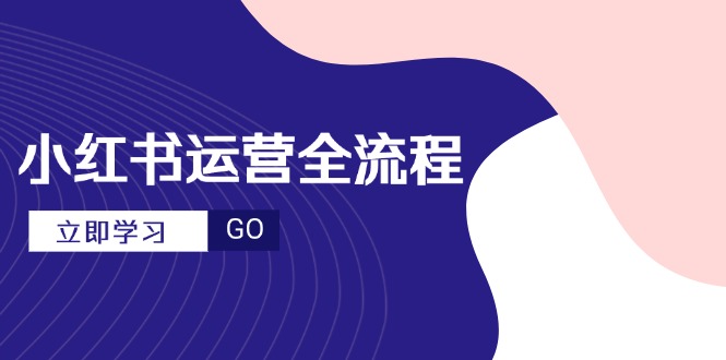 小红书运营全流程，爆款选题文案，视频制作技巧，进阶达人宝典-AIPOD