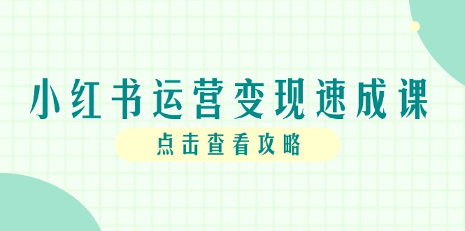 小红书运营变现速成课，账号搭建到暴力起号，个人IP全流程指南-AIPOD