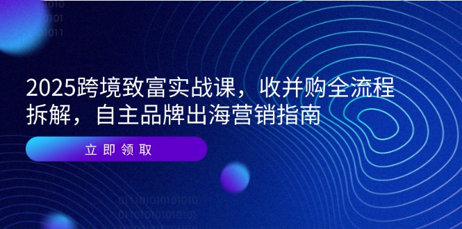 2025跨境致富实战课，收并购全流程拆解，自主品牌出海营销指南-AIPOD