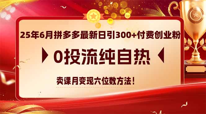 25年6月拼多多最新日引300+付费创业粉，0投流纯自热 卖课月变现六位数方法-AIPOD