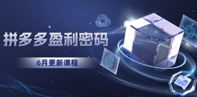 拼多多盈利密码：从烧钱推广到印钞模型，底层逻辑重构指南（6月更新）-AIPOD