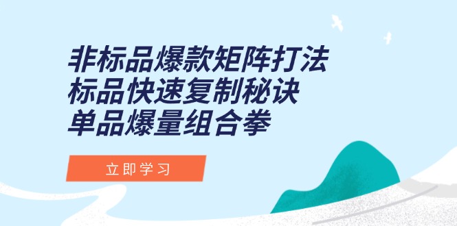 非标品爆款矩阵打法，标品快速复制秘诀，单品爆量组合拳-AIPOD