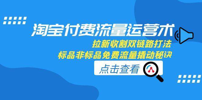 淘宝付费流量运营术，拉新收割双链路打法，标品非标品免费流量撬动秘诀-AIPOD