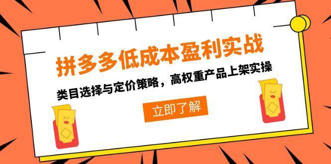 拼多多低成本盈利实战，类目选择与定价策略，高权重产品上架实操-AIPOD
