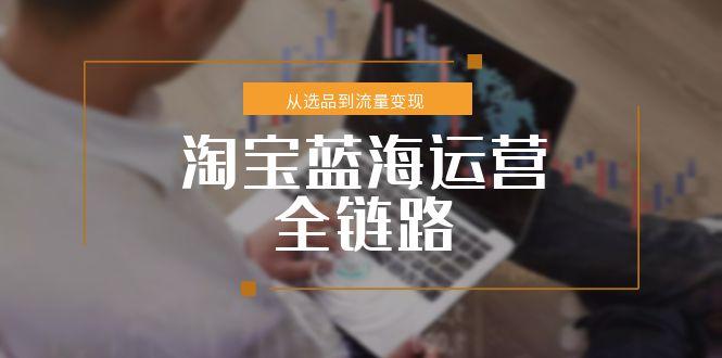 淘宝蓝海运营全链路，从选品到流量变现，小类目突围完整方案-AIPOD