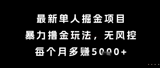 最新单人掘金项目，暴力撸金玩法，无风控，每个月多挣5k+-AIPOD