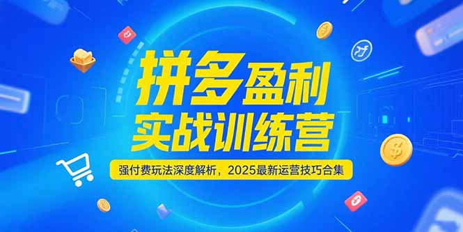 拼多多盈利实战训练营，强付费玩法深度解析，2025运营技巧合集-更新6月-AIPOD
