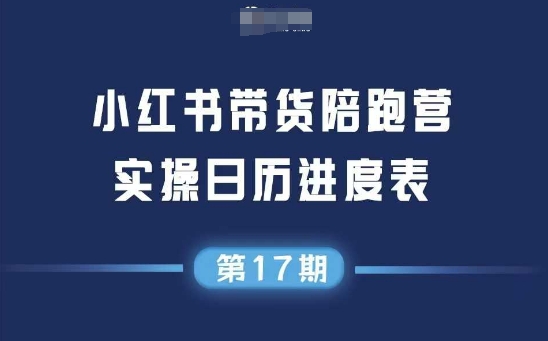 小红书第17期带货陪跑营，不囤货，无不直播，无不投流，通过选品+笔记内容+测品+笔记铺量+矩阵运营打爆款-AIPOD