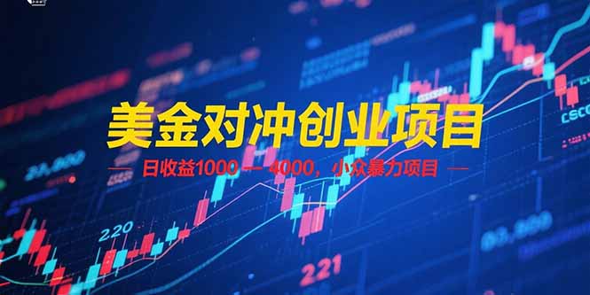 美金对冲创业项目，日收益 1000 – 4000，小众暴力项目-AIPOD