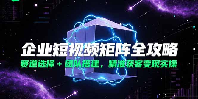 企业短视频矩阵全攻略，赛道选择+团队搭建，精准获客变现实操-AIPOD