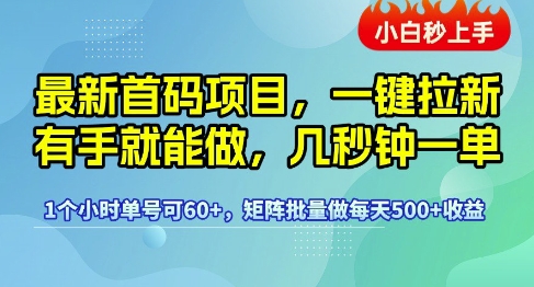 最新首码项目，一键拉新有手就能做，几秒钟一单，1个小时单号可60+，矩阵批量做每天5张-AIPOD