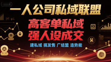 一人公司私域联盟，高客单私域，强人设成交，建私域 搞发售 广结盟 造势能-AIPOD
