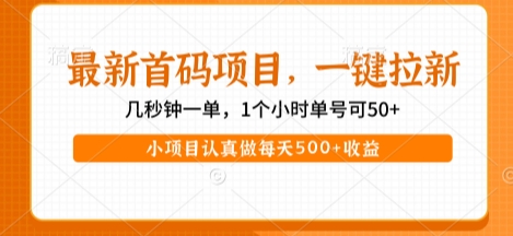 最新首码项目，操作最简单，收益高，一键拉新，1个小时单号可50+，小项目认真做每天5张+收益-AIPOD