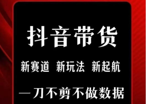 抖音短视频一刀不剪带货，不剪辑，不直播，每天发个视频，等着出单获取带货佣金-AIPOD