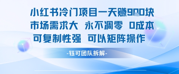小红书冷门项目一天收益9张，市场需求大，0成本，可复制性强可以矩阵操作-AIPOD