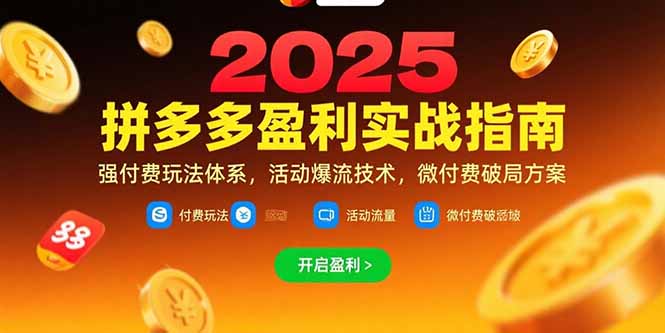 拼多多盈利实战指南，强付费玩法，活动爆流技术，微付费破局方案(更新7月)-AIPOD