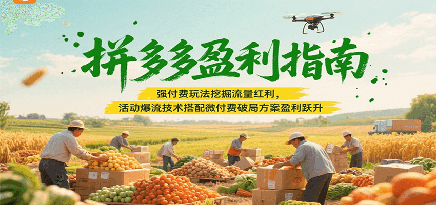 拼多多盈利指南：强付费玩法挖掘流量红利，活动爆流技术搭配微付费方案实现盈利跃升-AIPOD