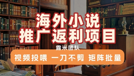 海外小说推广返利项目，视频投喂， 一刀不剪，矩阵批量-AIPOD